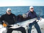 First mate Caveman and Barry Bennet with another big sail fish on the KILLER INSTINCT